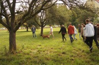 Wer bin ich? Was will ich?