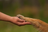 Führungskräftetraining Kommunikation